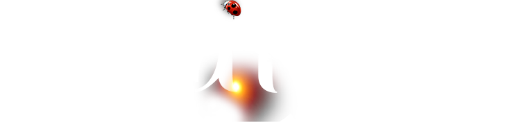 金沙(8087-js认证)娱场城-Officialwebsite